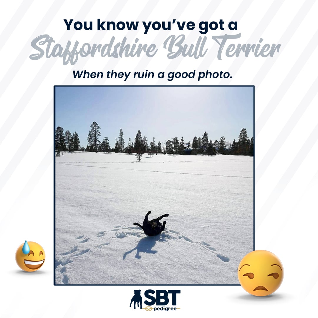 SBT