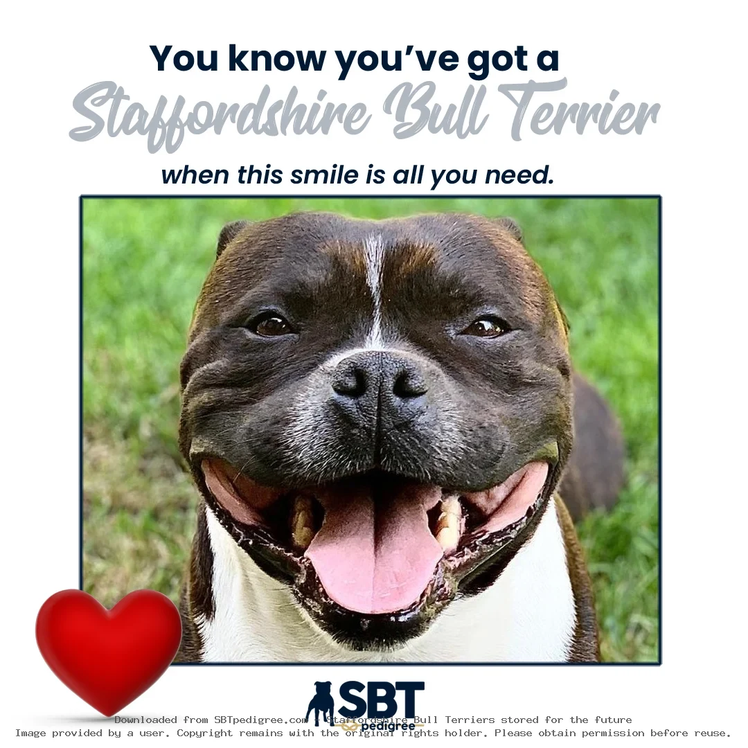 About SBTpedigree