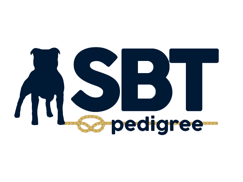 Behind the Scenes at SBTpedigree