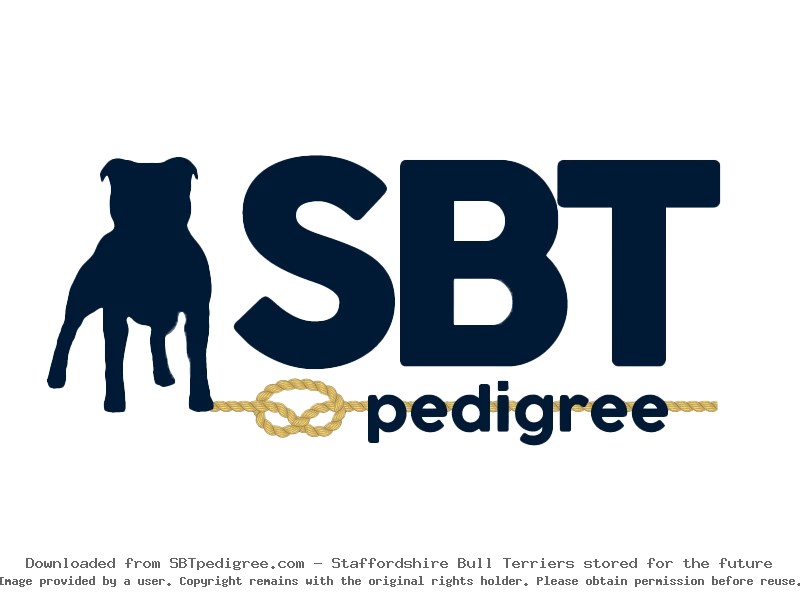 Behind the Scenes at SBTpedigree