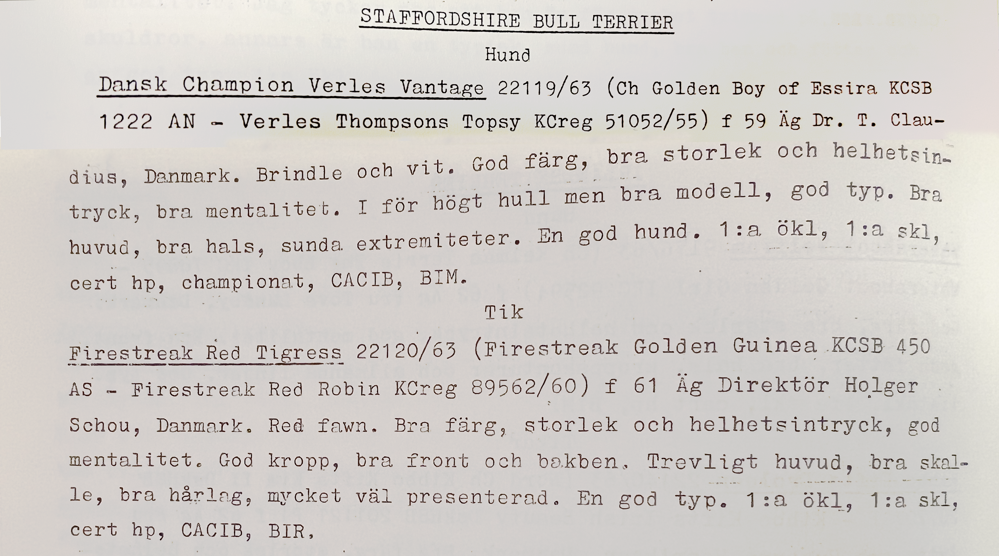 Judges as Historical Sources in the Staffordshire Bull Terrier
