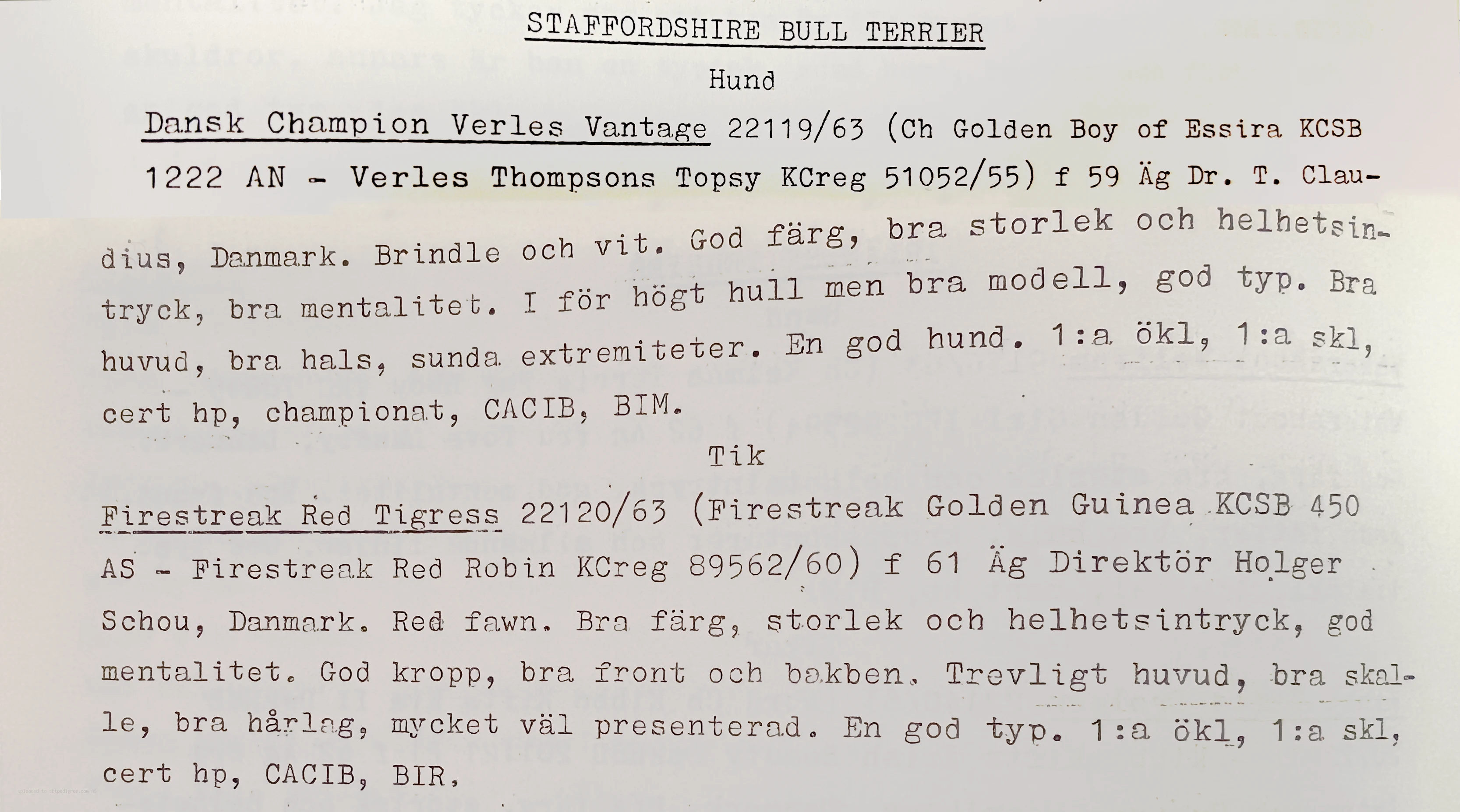 Judges as Historical Sources in the Staffordshire Bull Terrier