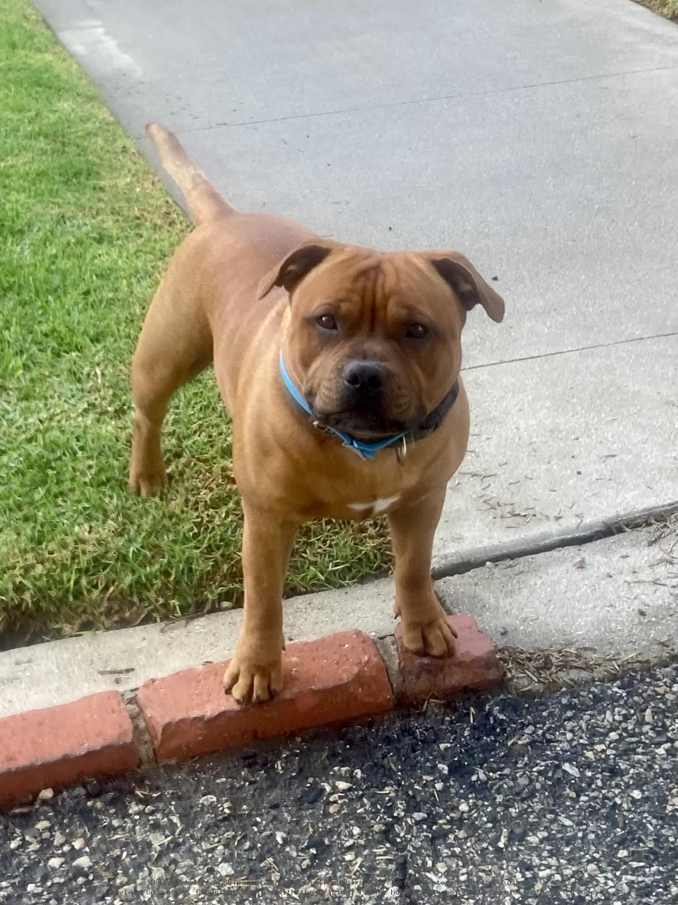 Jonestown's Rudy