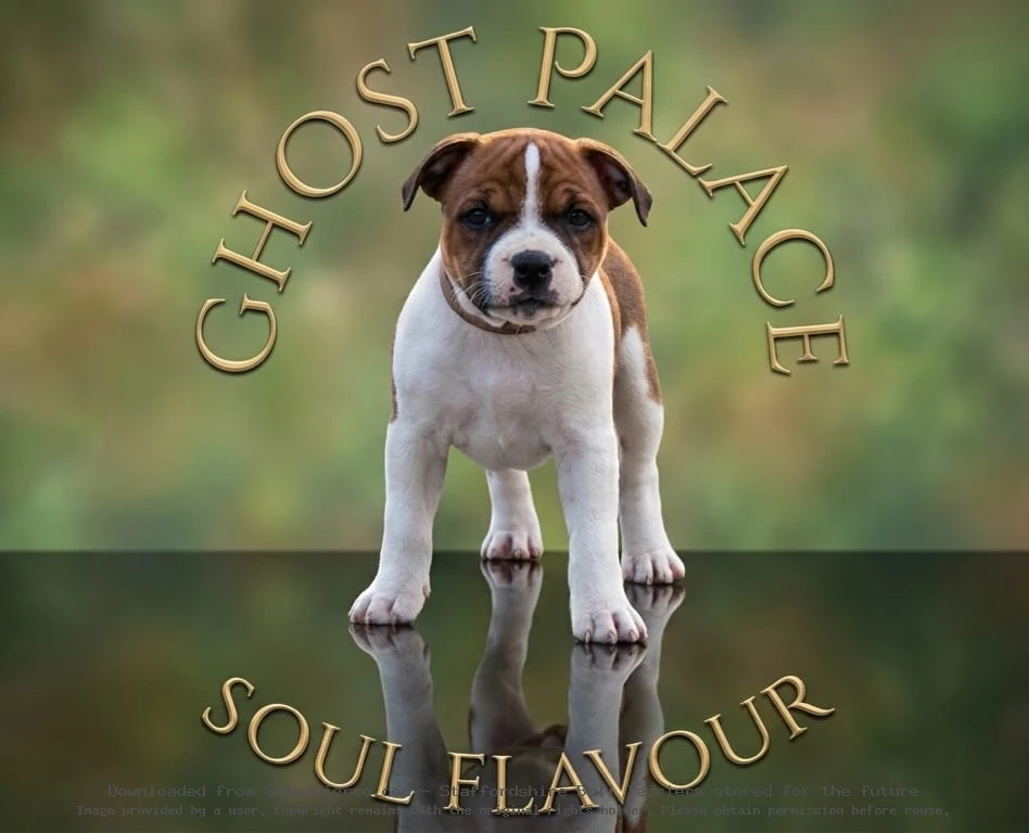 Ghost Palace Soul Flavour