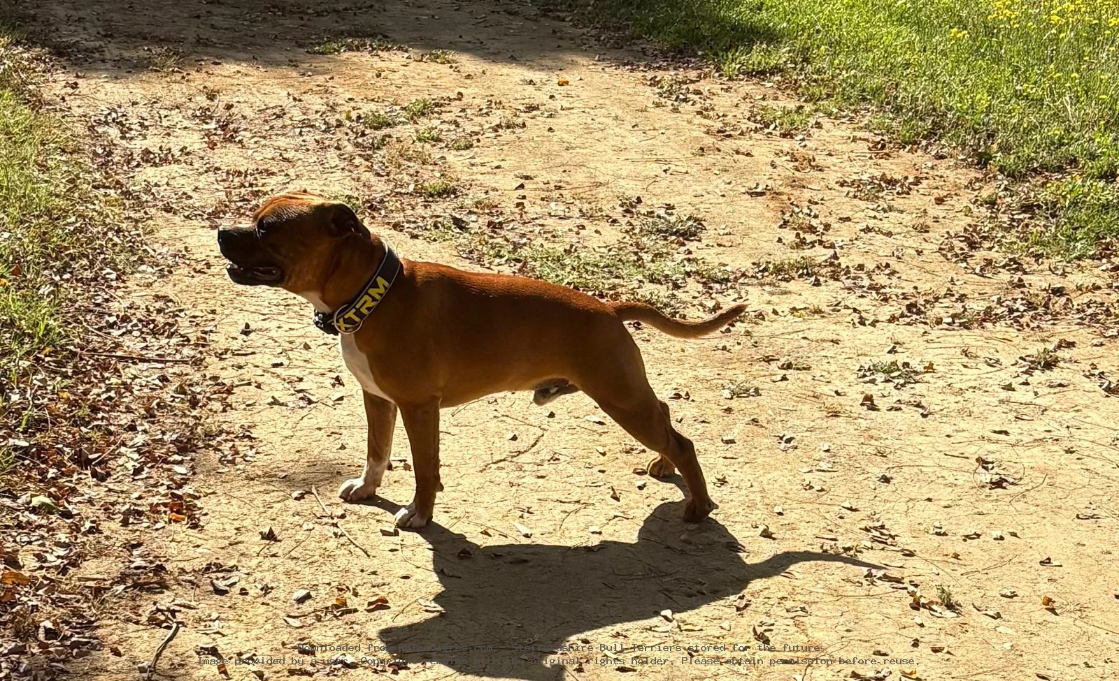 Lenny De Boxpo