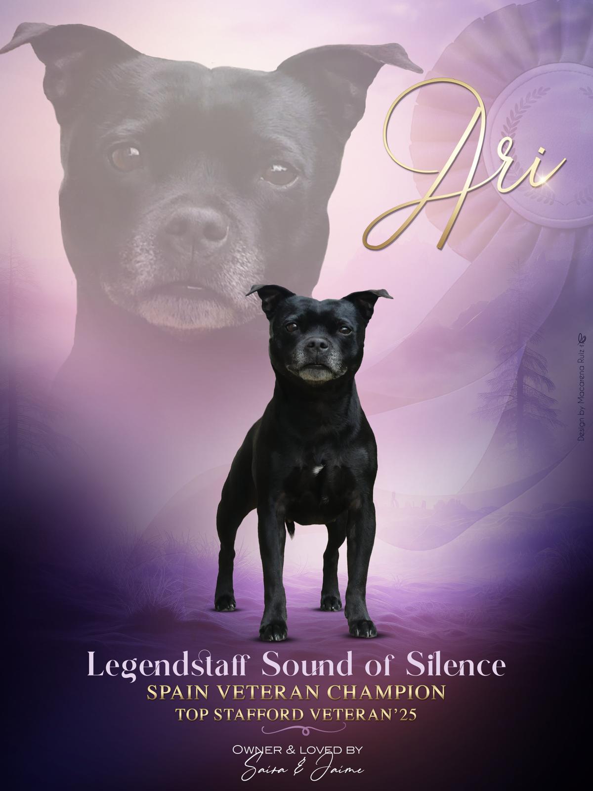 legendstaff sound of silence