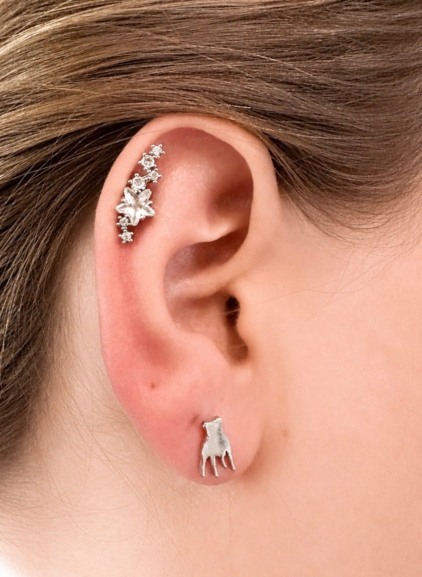 SBT Stud Earrings – Stafford Silhouette Design — SBT Stud Earrings – Silver