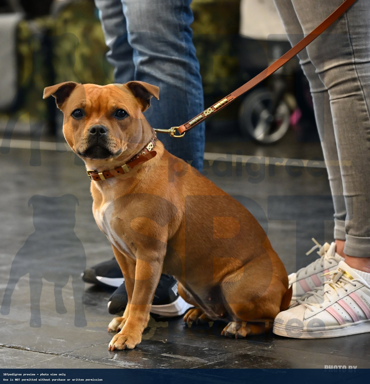DSC_1536 kopi