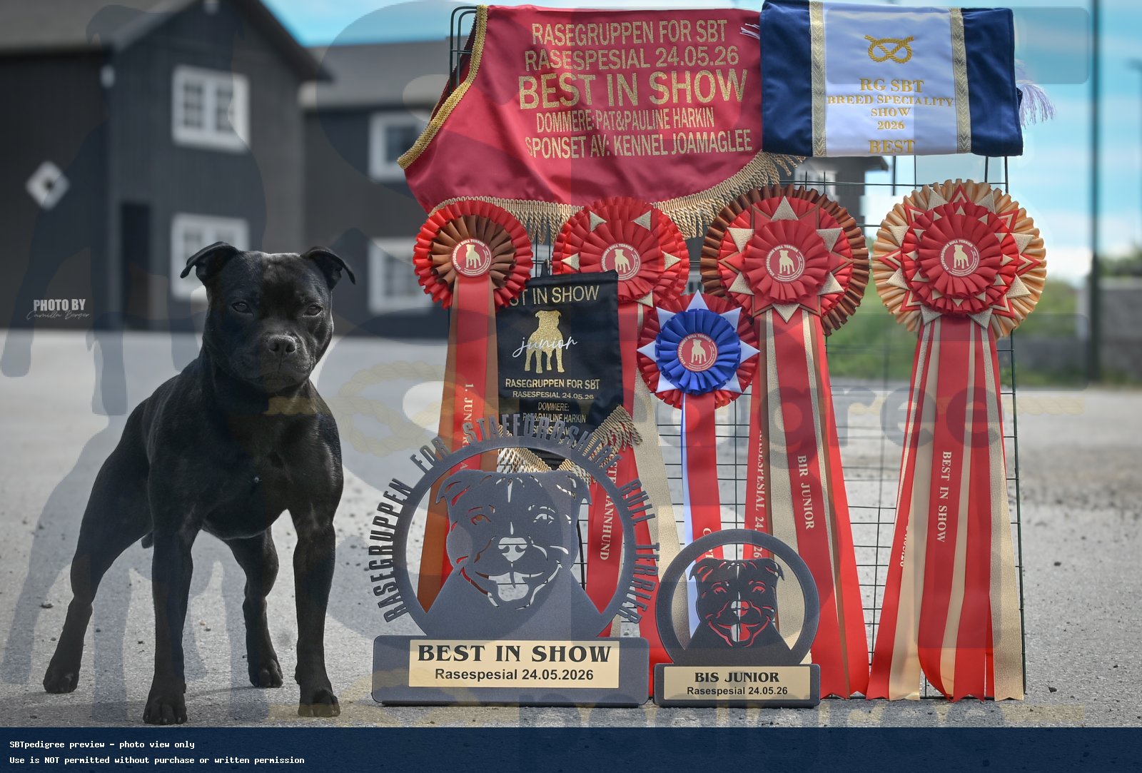 Norwegian SBT Speciality Show 24.05.2026